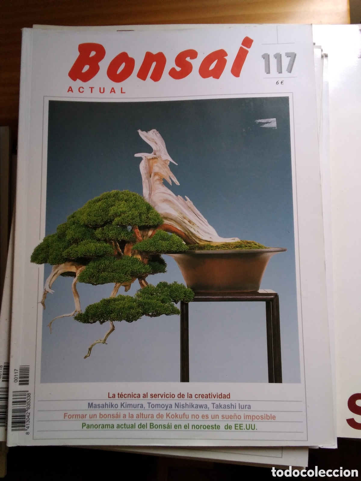 Coleccionismo de revistas y peri&oacute;dicos: Bonsai actual revista n&uacute;mero 117