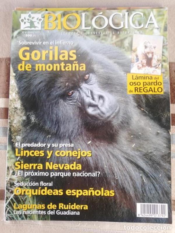 Collezionismo di Riviste e Giornali: revista Biolog&iacute;ca n&ordm; 4 enero 1997
