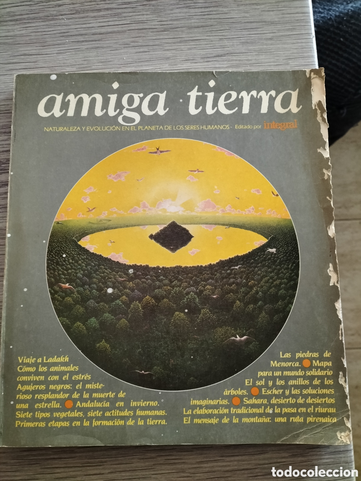 Collection Magazines and Newspapers: AMIGA TIERRA n 1 oto&ntilde;o 1981 INTEGRAL