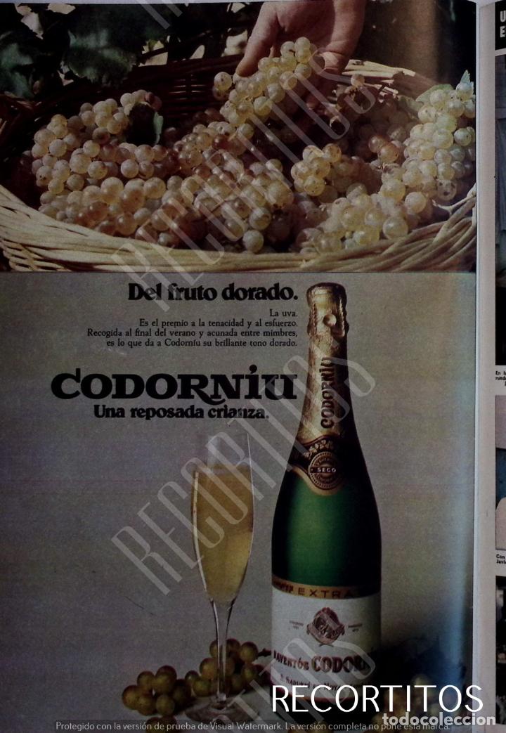 Coleccionismo de revistas y peri&oacute;dicos: anuncio cava codorniu
