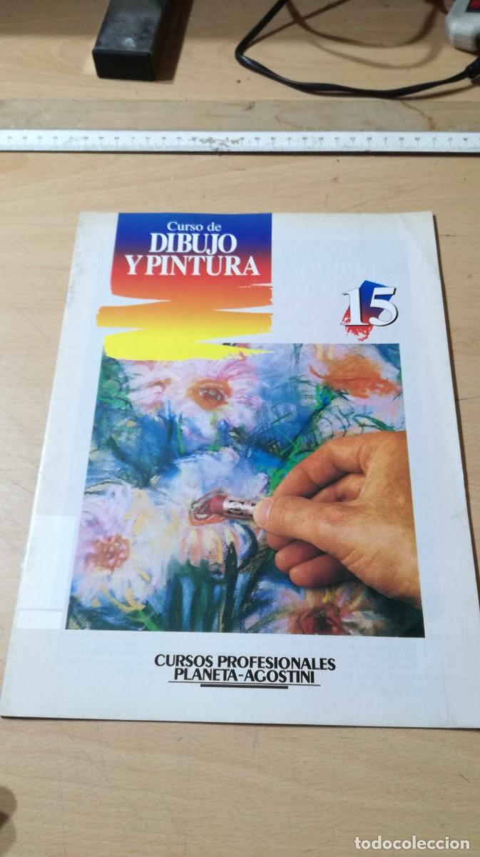 Coleccionismo de Revistas y Peri&oacute;dicos: CURSO DIBUJO Y PINTURA / ALL33 / 15 / PLANETA / FASCICULO