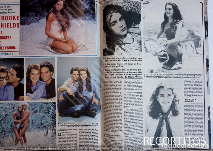Sammeln von Zeitschriften und Zeitungen: BROOKE SHIELDS