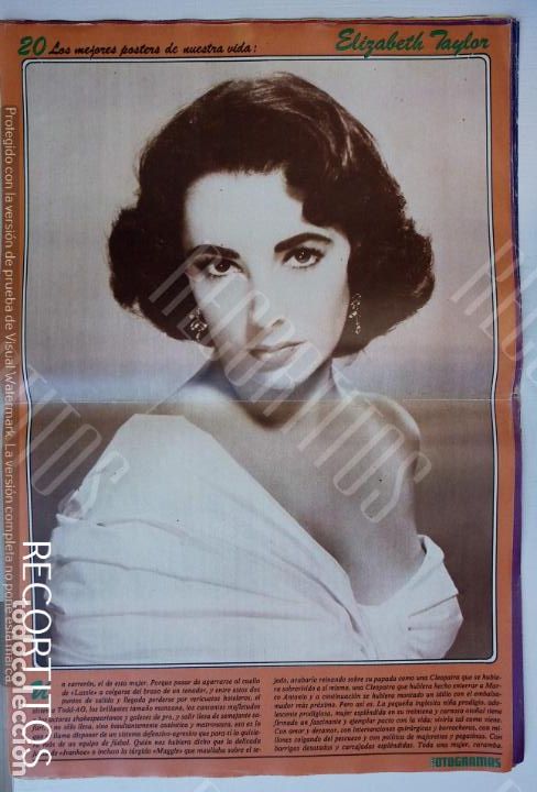 Coleccionismo de Revistas y Peri&oacute;dicos: poster fotogramas elizabeth taylor liz paul newman