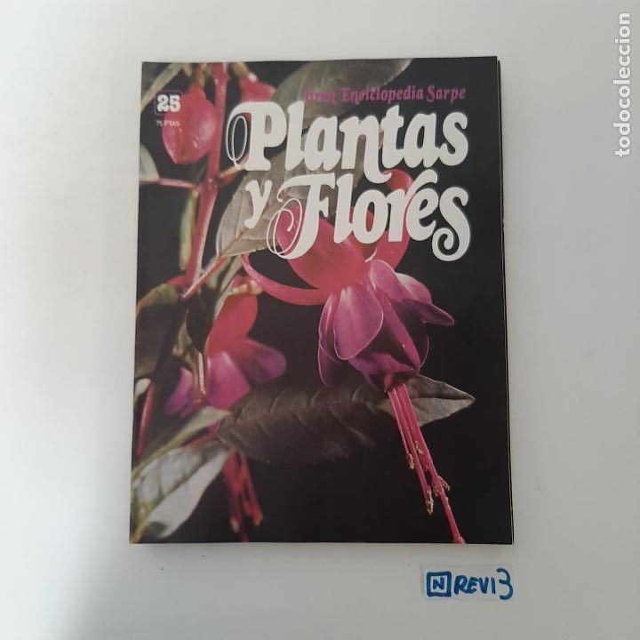 Collection Magazines and Newspapers: Plantas y flores