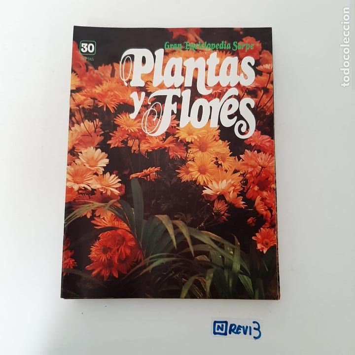 Collection Magazines and Newspapers: Plantas y flores