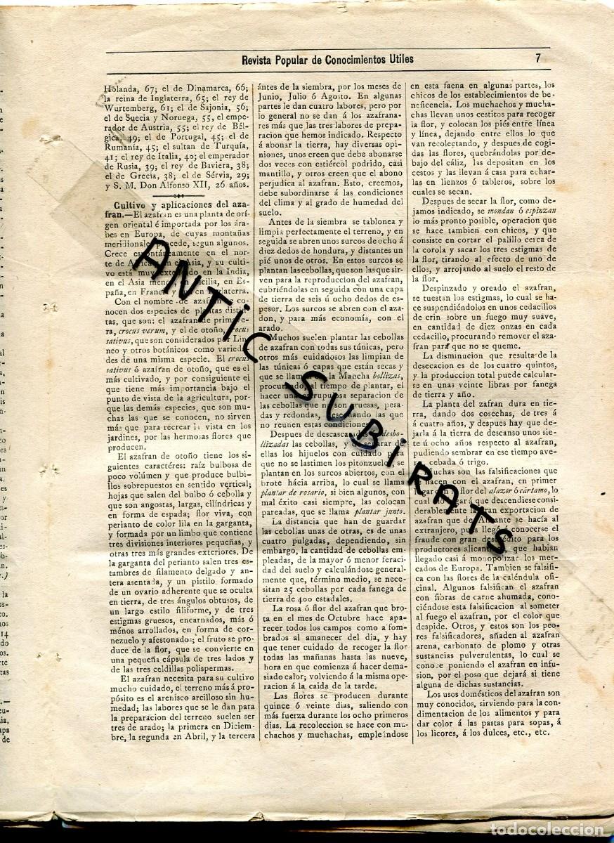 Collection Magazines and Newspapers: REVISTA A&Ntilde;O 1884 EL CULTIVO DEL AZAFRAN EL BACALAO DE PERRO DIRECCION DE LOS GLOBOS
