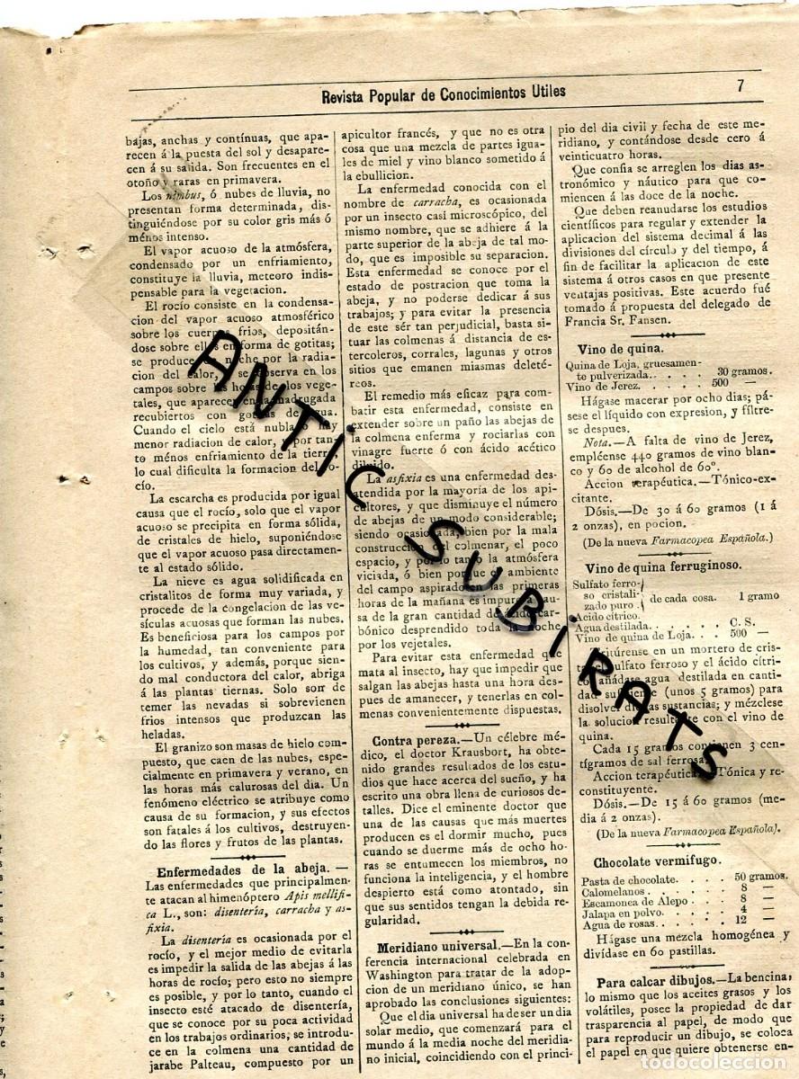 Coleccionismo de Revistas y Peri&oacute;dicos: REVISTA A&Ntilde;O 1885 NUECES PARA HACER JABON ENFERMEDADES DE LAS ABEJAS VINO QUINA FERRUGINOSO IODOFORMO