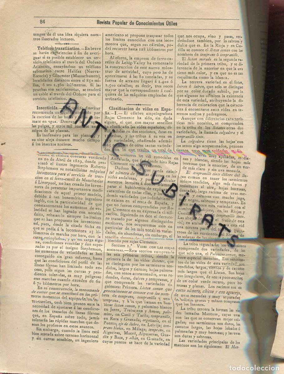 Sammeln von Zeitschriften und Zeitungen: REVISTA A&Ntilde;O 1885 CLASIFICACIONS DE VIDES EN ESPA&Ntilde;A TIPOS DE VINO AMPELOGRAFISTA ROJAS CLEMENTE