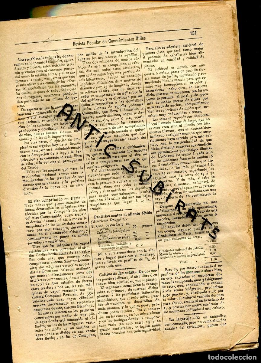 Coleccionismo de revistas y peri&oacute;dicos: REVISTA A&Ntilde;O 1889 CULTIVO DE SETAS TOMAINAS GUARESCHI