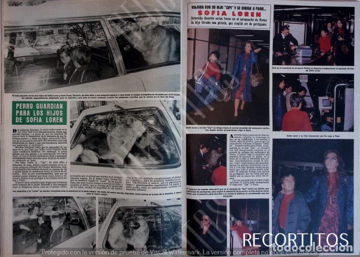 Sammeln von Zeitschriften und Zeitungen: EL PERRO GUARDIAN DE SOFIA LOREN