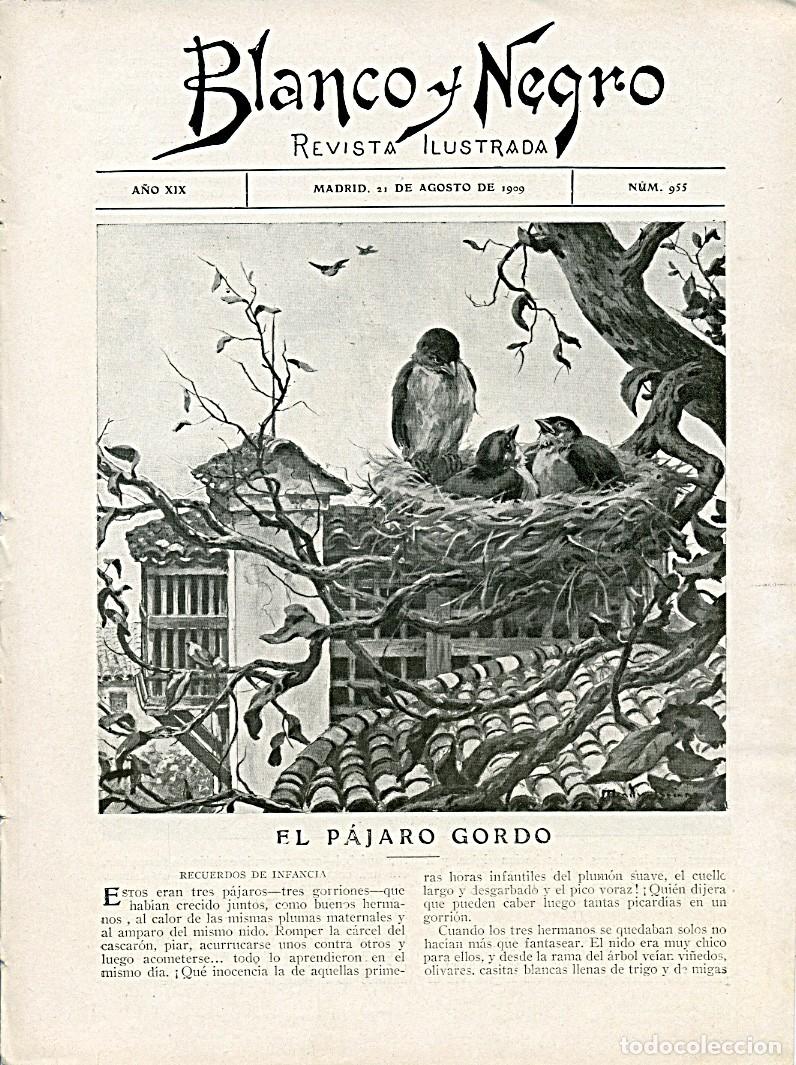 Coleccionismo de Revistas y Peri&oacute;dicos: Revista Blanco y Negro. Madrid 21 de agosto de 1909. N&uacute;mero 955