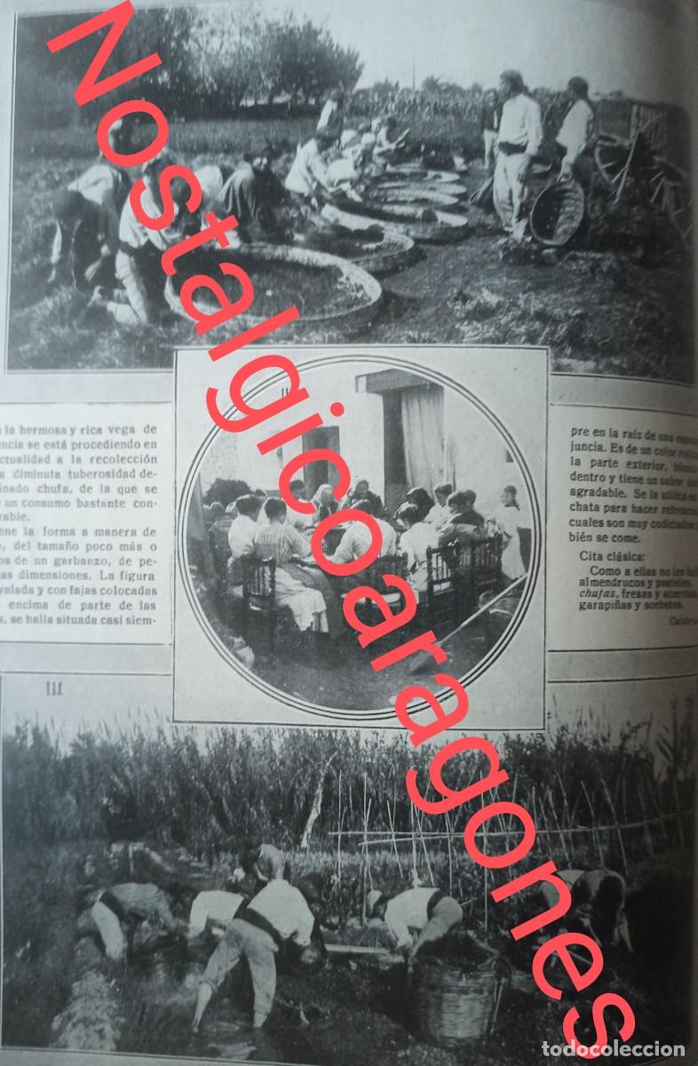 Collectionnisme de Revues et Journaux: Valencia recolecci&oacute;n chufa foto revista princ siglo XX 191K