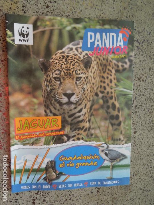 Coleccionismo de Revistas y Peri&oacute;dicos: PANDA JUNIOR REVISTA - OTO&Ntilde;O 2019- JAGUAR - GUADALQUIVIR RIO GRANDE