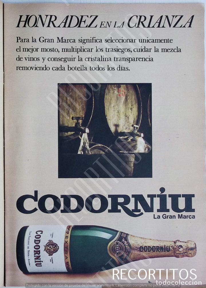 Coleccionismo de revistas y peri&oacute;dicos: CODORNIU CAVA ANUNCIO PUBLICIDAD