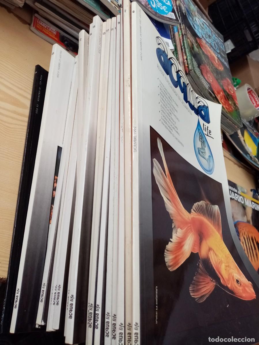 Collezionismo di Riviste e Giornali: LOTE DE 31 REVISTA ACQUA LIFE DEL N&ordm; 1 AL 31 C8R