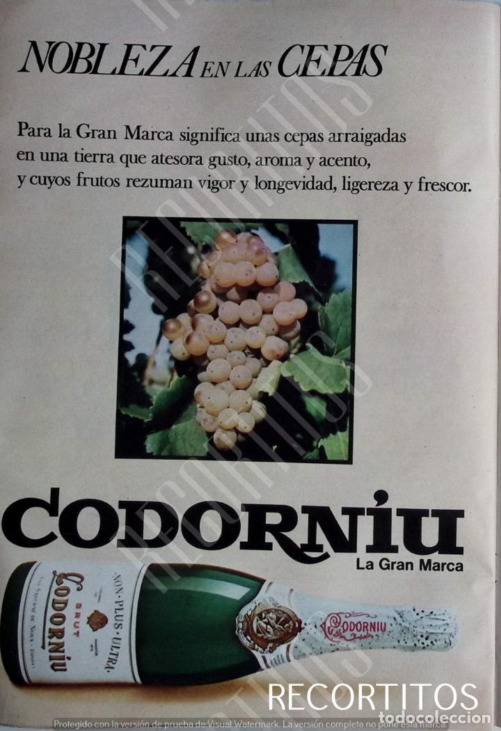 Coleccionismo de revistas y peri&oacute;dicos: codorniu cava anuncio publicidad