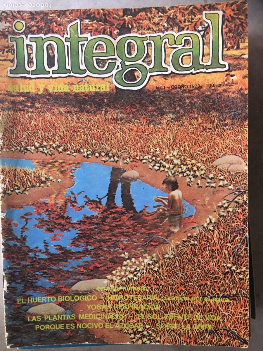 Coleccionismo de Revistas y Peri&oacute;dicos: LOTE DE 481 REVISTA INTEGRAL, VIDA SANA Y NATURAL, 450 NUMEROS, DE 1979 A 2020