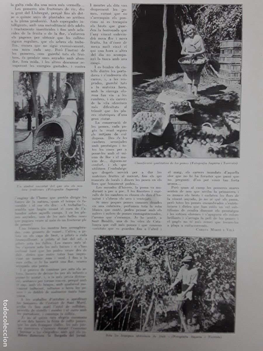 Colecionismo de Revistas e Jornais: LA COLLITA DE LA POMA DEL PLA DEL LLOBREGAT REVISTA ANY 1936