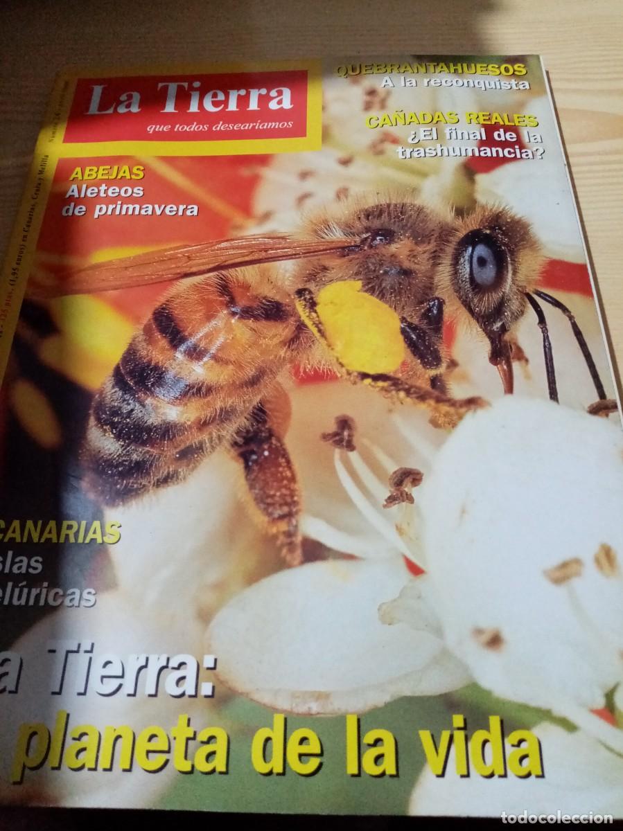 Collezionismo di Riviste e Giornali: REVISTA LA TIERRA. NUMERO 24. C6R
