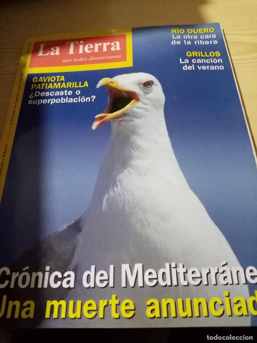 Collezionismo di Riviste e Giornali: REVISTA LA TIERRA. NUMERO 28 C6R
