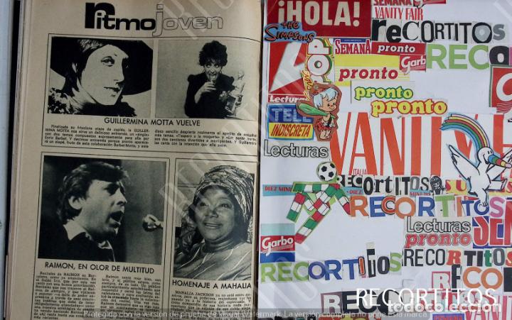 Coleccionismo de Revistas y Peri&oacute;dicos: guillermina motta raimon mahalia