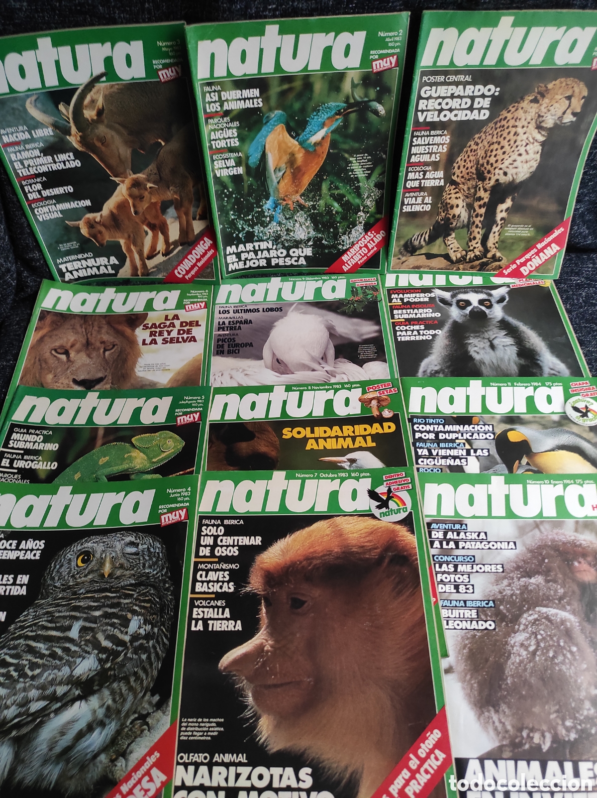 revista natura, lote de 12 ejemplares nº 1 al 1 - Compra venta en  todocoleccion