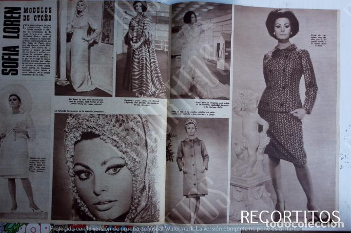 Coleccionismo de Revistas y Peri&oacute;dicos: sofia loren