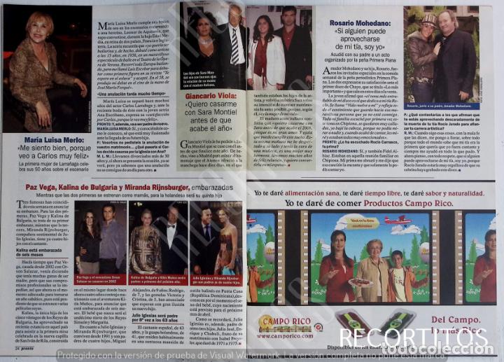 Coleccionismo de Revistas y Peri&oacute;dicos: sara montiel maria luisa merlo paz vega miranda rijnsburger julio iglesias