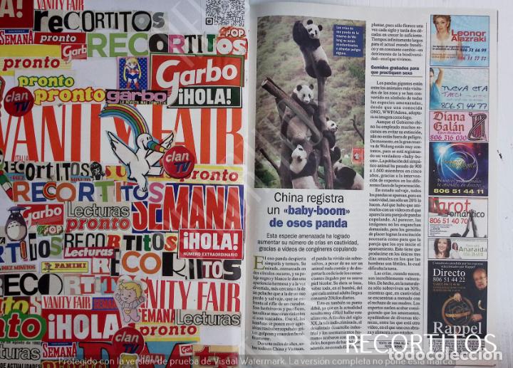 Collection Magazines and Newspapers: oso panda osos pandas