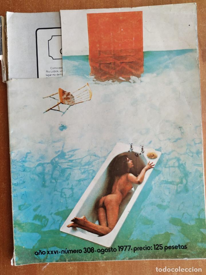 Coleccionismo de Revistas y Peri&oacute;dicos: Revista ARTE FOTOGRAFICO N&ordm; 308. Jose Busoms Domenech. Desnudos. Folla de Carballo.Pedro Olaya Ruano