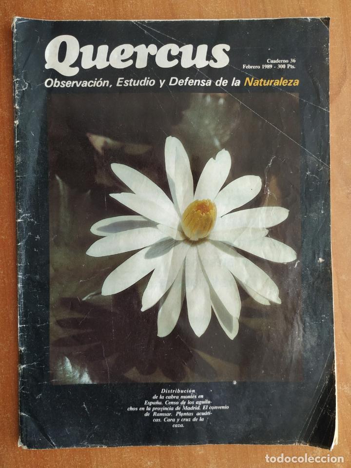 Coleccionismo de revistas y peri&oacute;dicos: Revista QUERCUS N&ordm; 36. Cabra mont&eacute;s. Aguiluchos en Madrid. Convenio de Ramsar. Caza en Espa&ntilde;a.