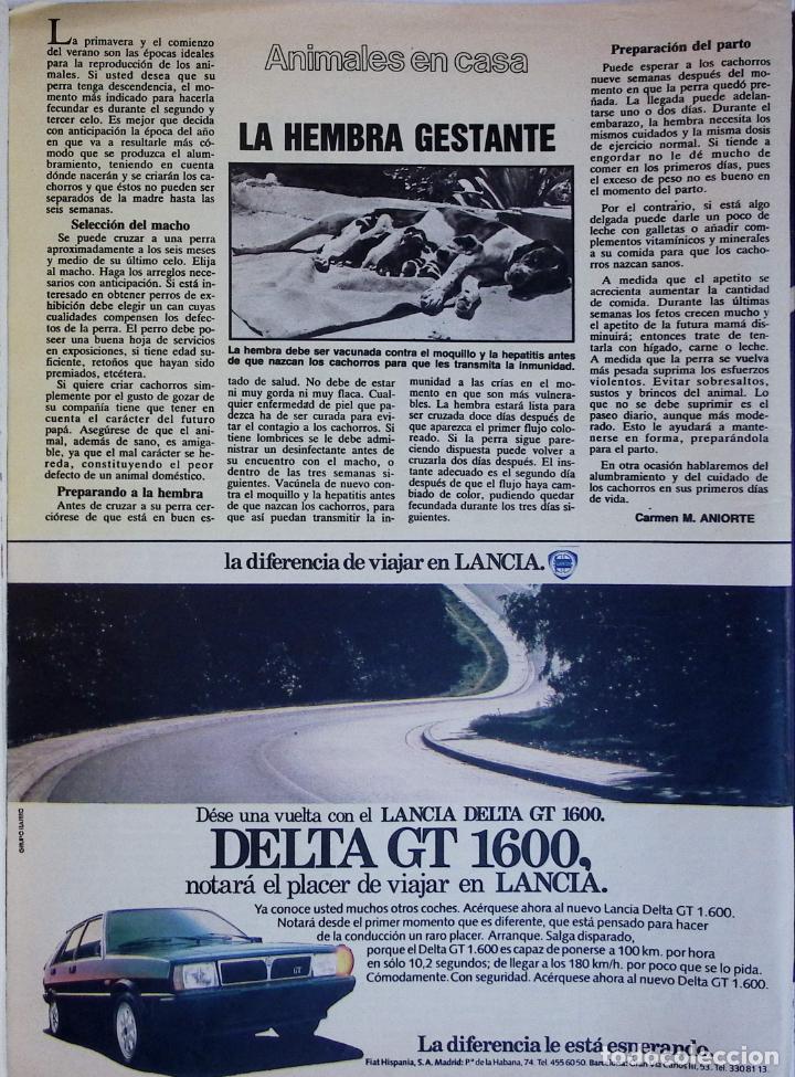 Coleccionismo de Revistas y Peri&oacute;dicos: lancia delta gt anuncio publicidad
