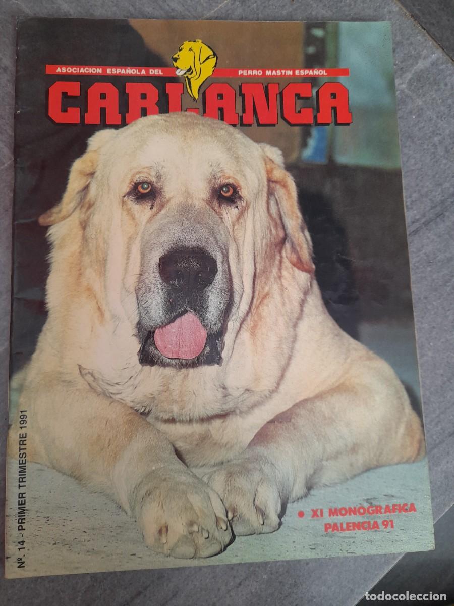 Coleccionismo de Revistas y Peri&oacute;dicos: Revista Asociaci&oacute;n perro Mast&iacute;n espa&ntilde;ol Carlanca N&deg; 14 a&ntilde;o 1991