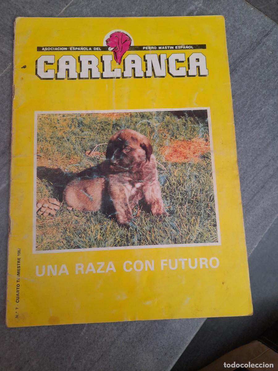 Coleccionismo de Revistas y Peri&oacute;dicos: Revista Asociaci&oacute;n perro Mast&iacute;n espa&ntilde;ol Carlanca N&deg; 7 a&ntilde;o 1987