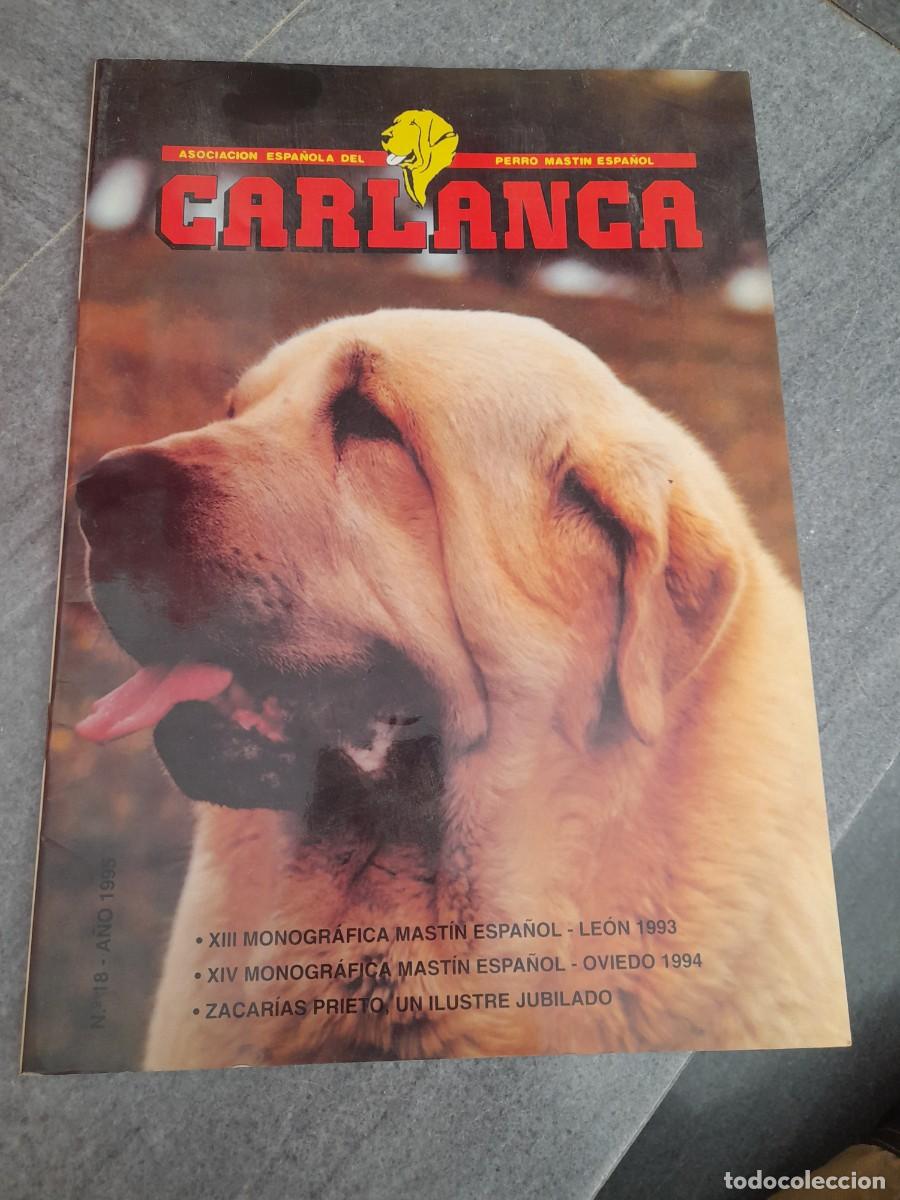 Coleccionismo de Revistas y Peri&oacute;dicos: Revista Asociaci&oacute;n perro Mast&iacute;n espa&ntilde;ol Carlanca N&deg; 18 a&ntilde;o 1995