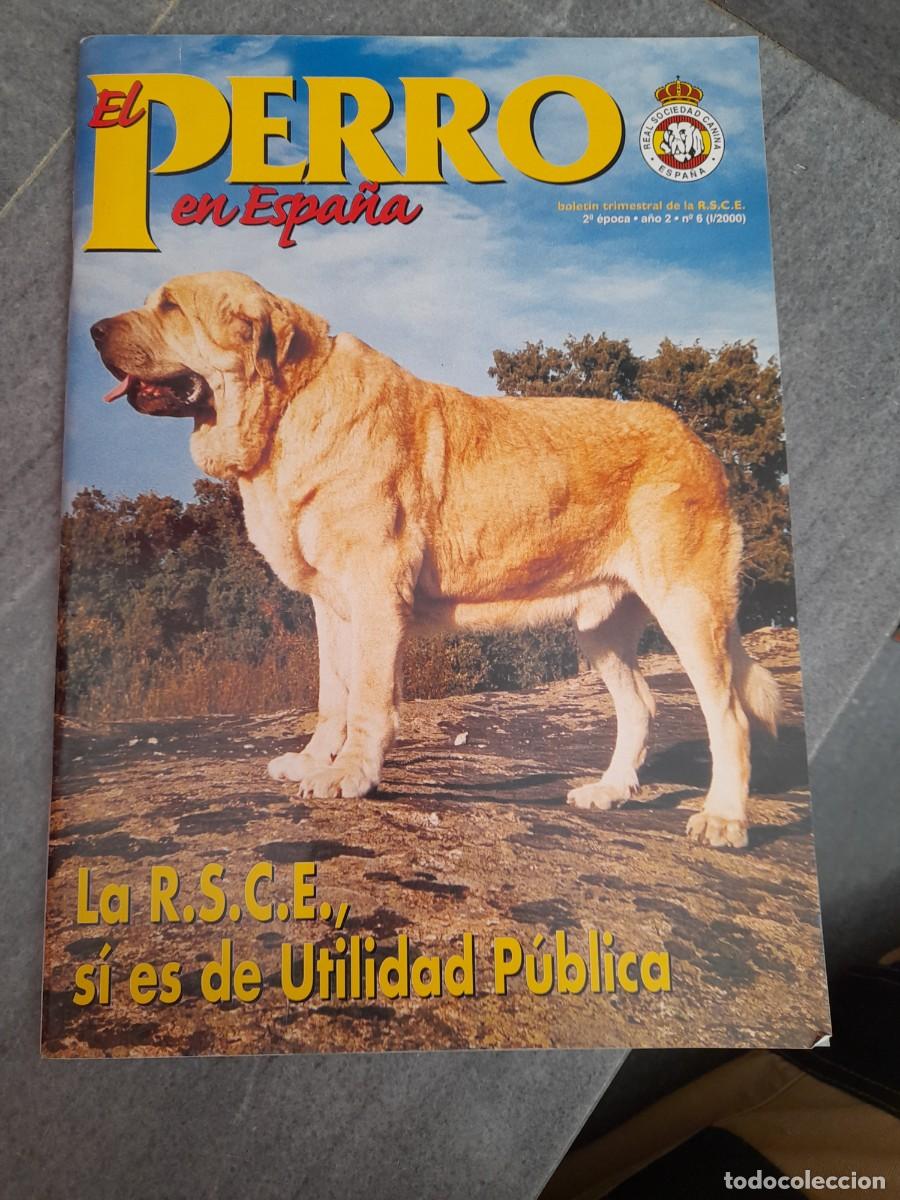 Coleccionismo de Revistas y Peri&oacute;dicos: Revista El perro en Espa&ntilde;a Mast&iacute;n Espa&ntilde;ol Alicante N&deg; 6 a&ntilde;o 2000