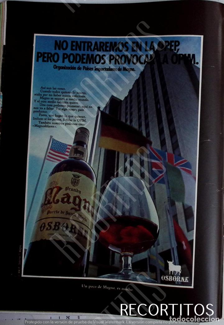 Collezionismo di Riviste e Giornali: magno brandy anuncio publicidad