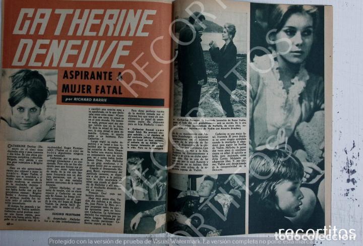 Collezionismo di Riviste e Giornali: CATHERINE DENEUVE
