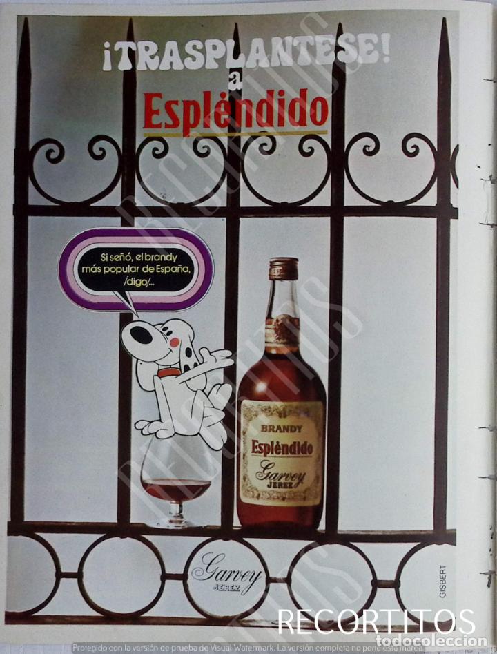 Coleccionismo de Revistas y Peri&oacute;dicos: ESPLENDIDO BRANDY COGNAC GARVEY JEREZ ANUNCIO PUBLICIDAD