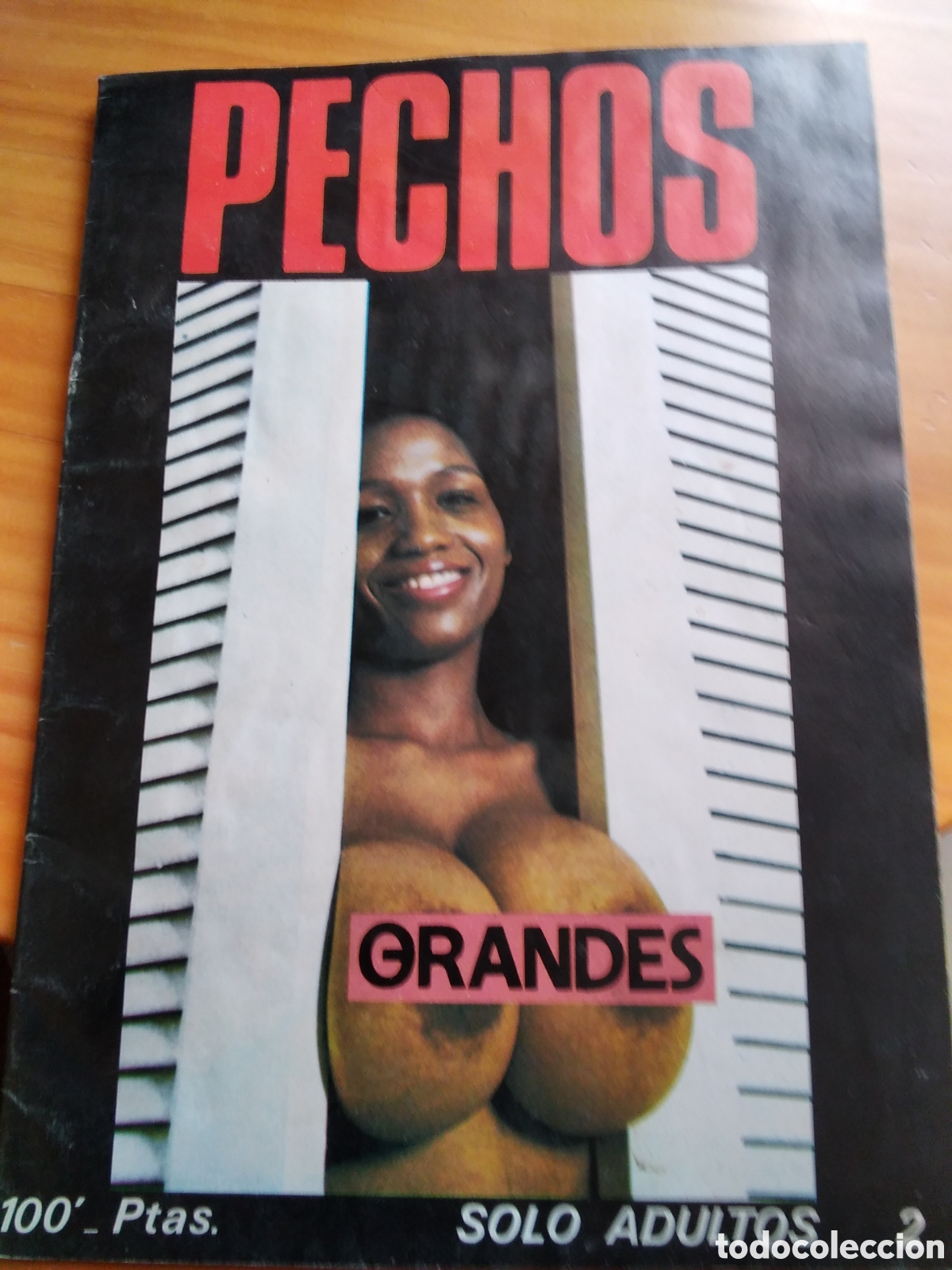 pechos grandes revista erotica desnudos de muje - Buy Other modern  magazines and newspapers on todocoleccion