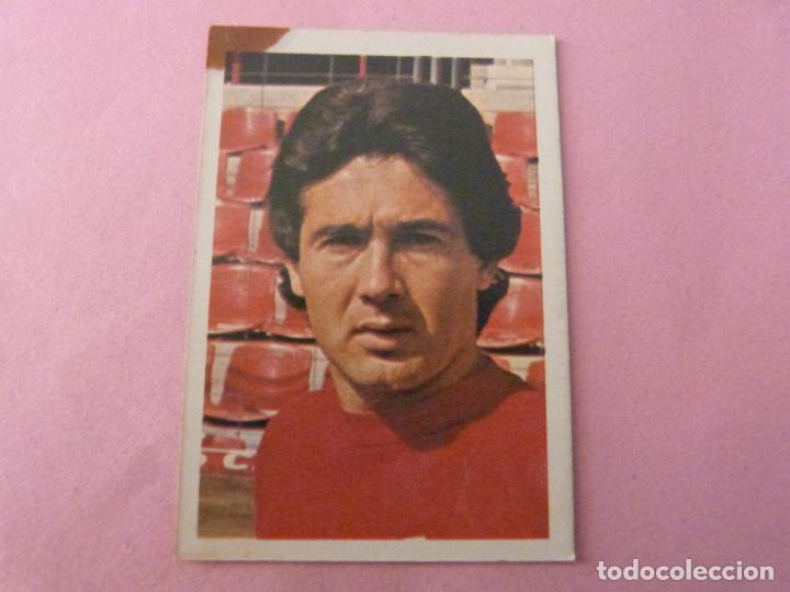 Coleccionismo de revistas y peri&oacute;dicos: CROMO DE FUTBOL SEBASTIA DEL REAL MURCIA SIN PEGAR N&ordm; 96 DEL ALBUM LIGA 1980-1981/80-81 FHER