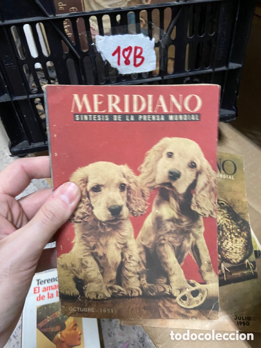 Coleccionismo de revistas y peri&oacute;dicos: 18B MERIDIANO SINTESIS DE LA PRENSA MUNDIAL octubre 1951