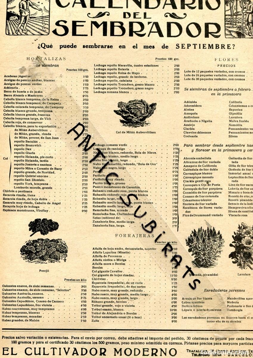 Collection Magazines and Newspapers: RECORTE DE PRENSA A&Ntilde;O 1934 CALENDARIO DEL SEMBRADOR DE LA SIEMBRA