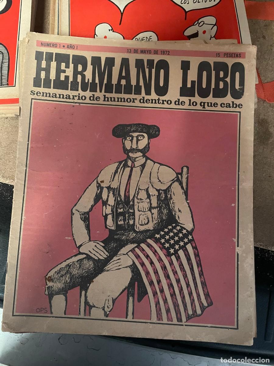 Coleccionismo de revistas y peri&oacute;dicos: Revista Hermano Lobo n&ordm;s 1 a 100 (faltan los n&uacute;m. 8,33,34,63,86) . Acepto ofertas por n&ordm;s sueltos
