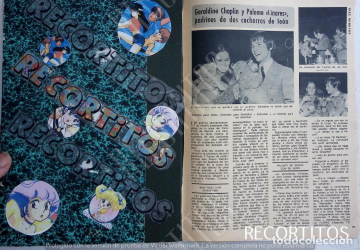 Coleccionismo de Revistas y Peri&oacute;dicos: PALOMO LINARES GERALDINE CHAPLIN LOS CACHORROS DE LEON