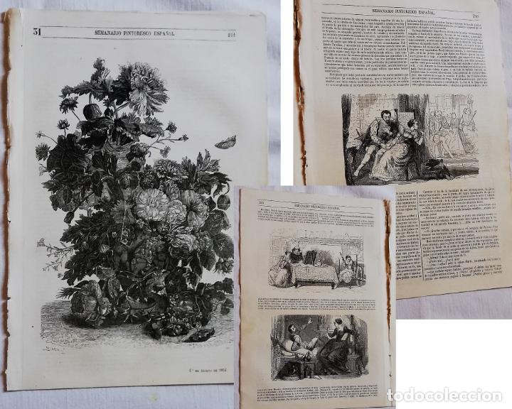 Coleccionismo de revistas y peri&oacute;dicos: SEMANARIO PINTORESCO ESPA&Ntilde;OL N&ordm; 31 1852: Relato ilustrado, flores.