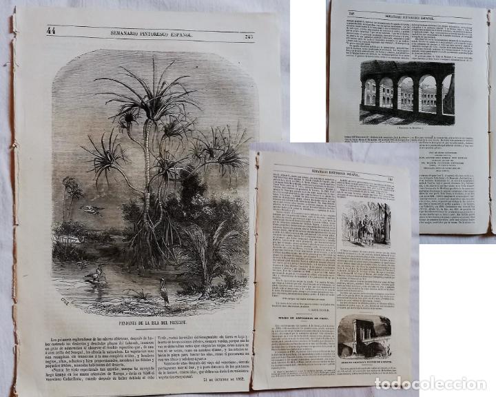 Coleccionismo de revistas y peri&oacute;dicos: SEMANARIO PINTORESCO ESPA&Ntilde;OL N&ordm;44 1852: PANDANUS DE LA ISLA DEL PR&Iacute;NCIPE, MONASTERIO MATALLANA,