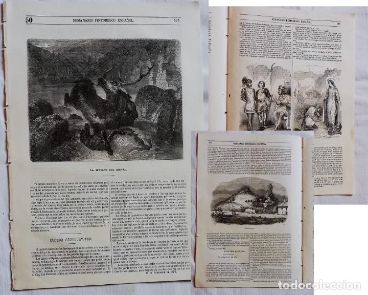 Coleccionismo de revistas y peri&oacute;dicos: SEMANARIO PINTORESCO ESPA&Ntilde;OL N&ordm;50 1852: El pico Sacro o pico Sagro de la Ulla baja, muerte del cierv