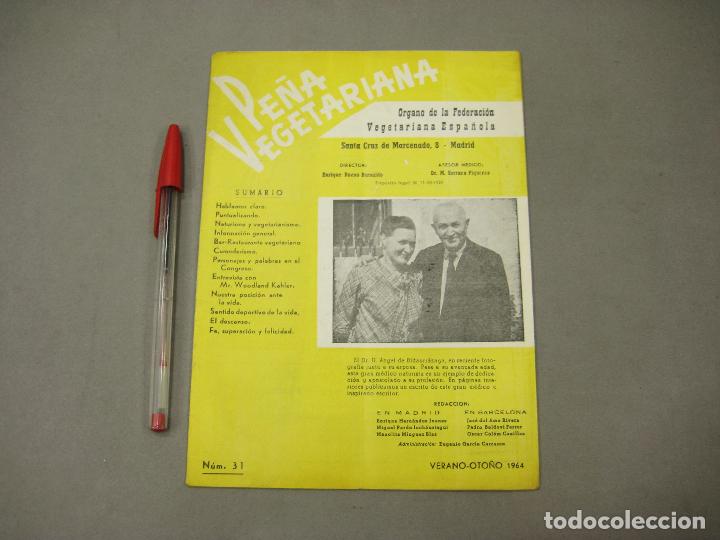 Colecionismo de Revistas e Jornais: REVISTA DE LA PE&Ntilde;A VEGETARIANA N&ordm; 31. &Oacute;RGANO DE LA FEDERACI&Oacute;N VEGETARIANA ESPA&Ntilde;OLA. MADRID 1964