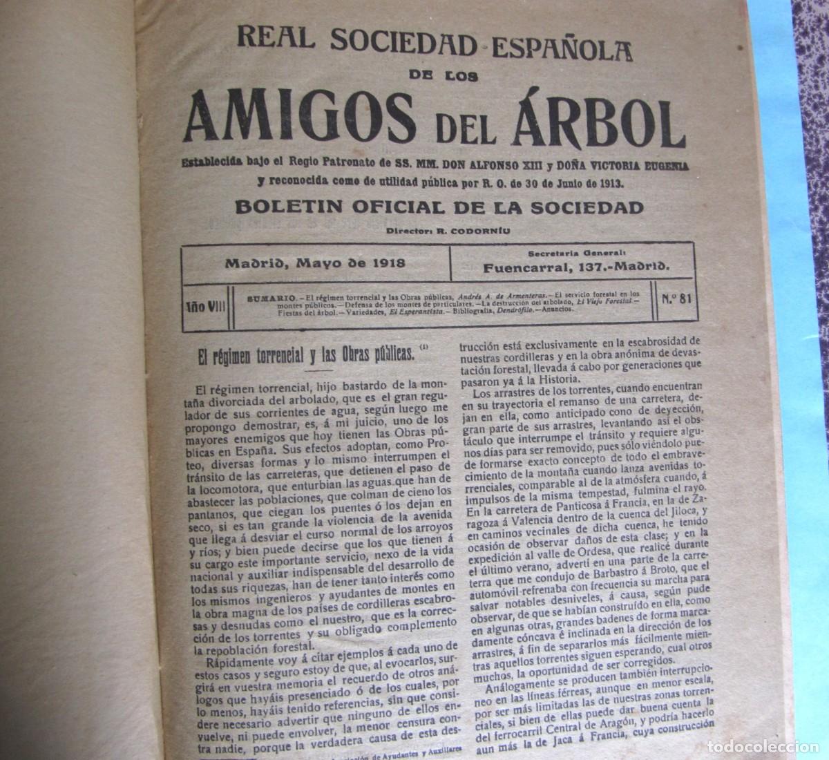 Collezionismo di Riviste e Giornali: 14 REVISTAS LA ESPA&Ntilde;A FORESTAL. ENCUADERNADAS EN UN VOLUMEN, 1916 - 1918.